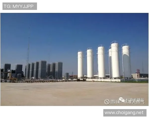 青年赛点评:LNG的意识表现